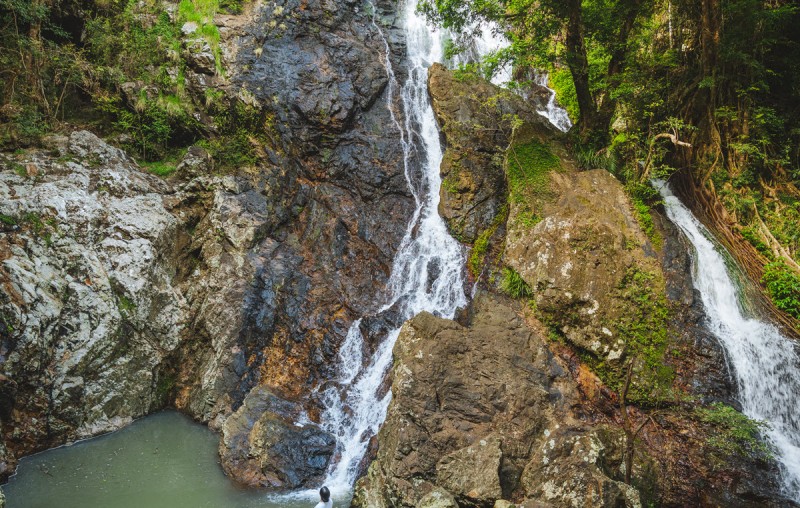 Kondalilla National Park TE 1200px