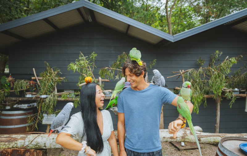 Maleny Bontanical Park TEQ 1200px