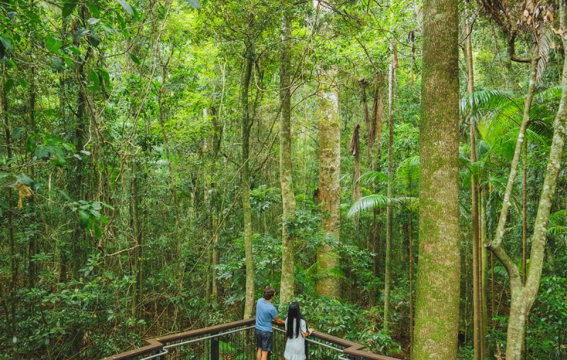 Mary Cairncross TEQ 1200px