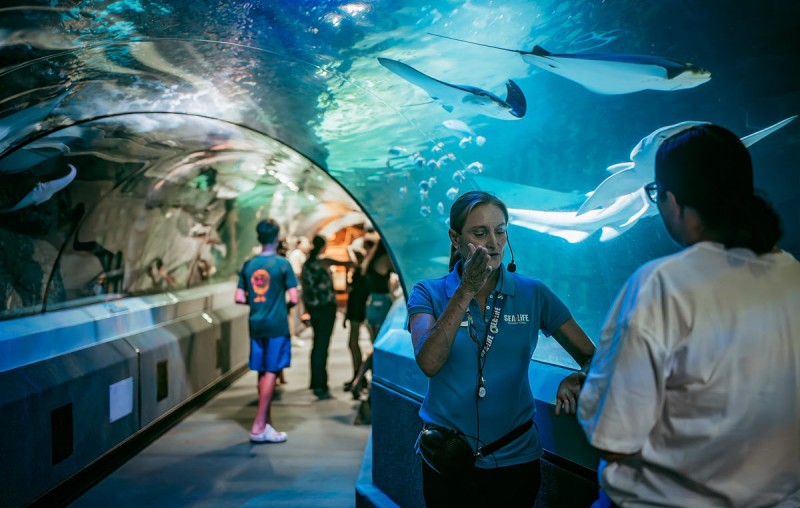 SeaLife Mooloolaba Ocean Tunnel FB Page 1200px