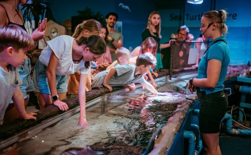 SeaLife Aquarium