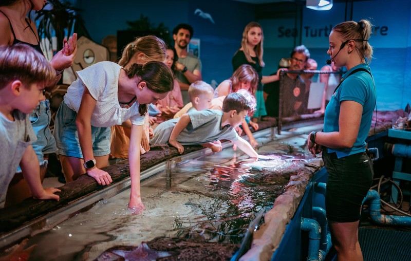 SeaLife Mooloolaba Touchpool FB Page 1200px