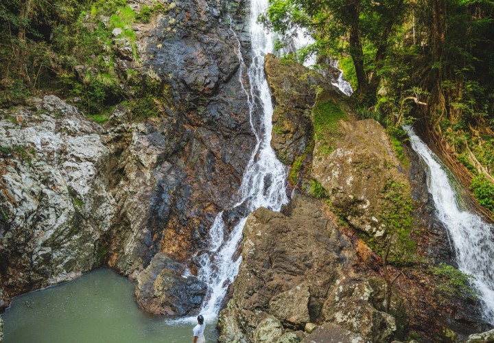 Kondalilla National Park TE 1200px