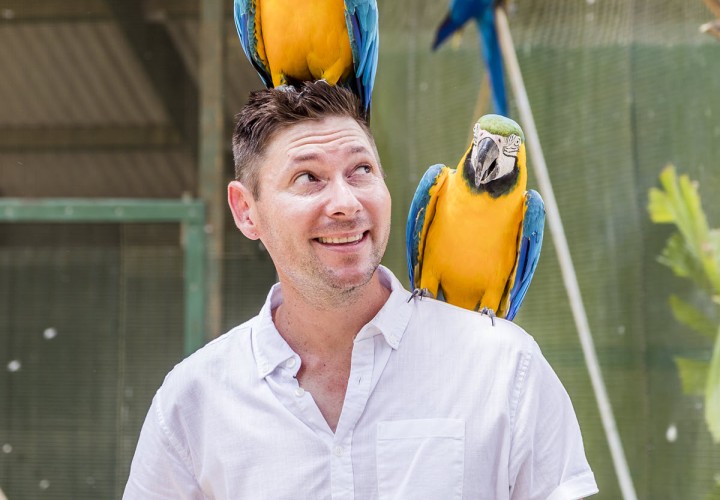 Maleny Bird World TEQ 1200px