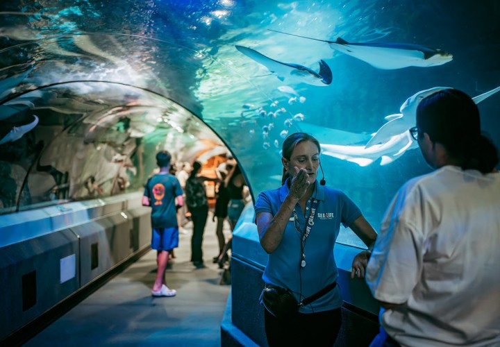 SeaLife Mooloolaba Ocean Tunnel FB Page 1200px