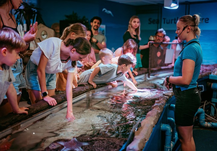 SeaLife Mooloolaba Touchpool FB Page 1200px