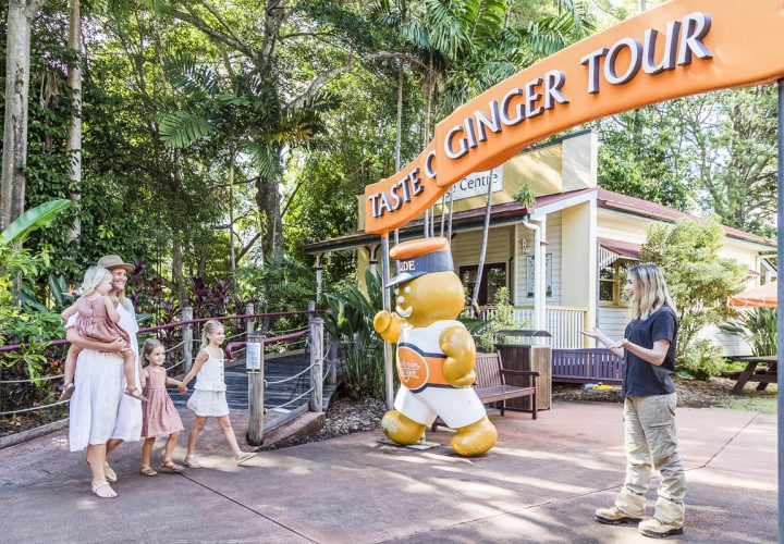 The Ginger Factory family TEQ 1200px